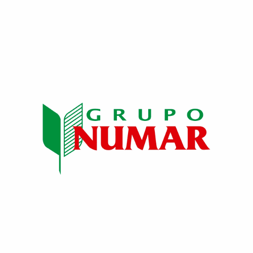Grupo Numar