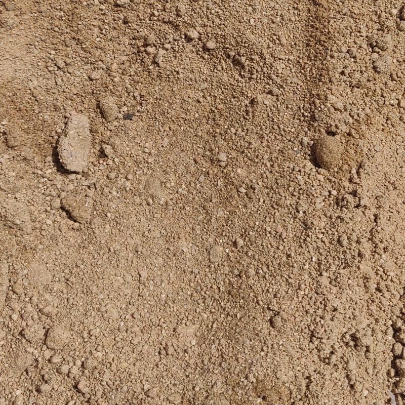 Arena